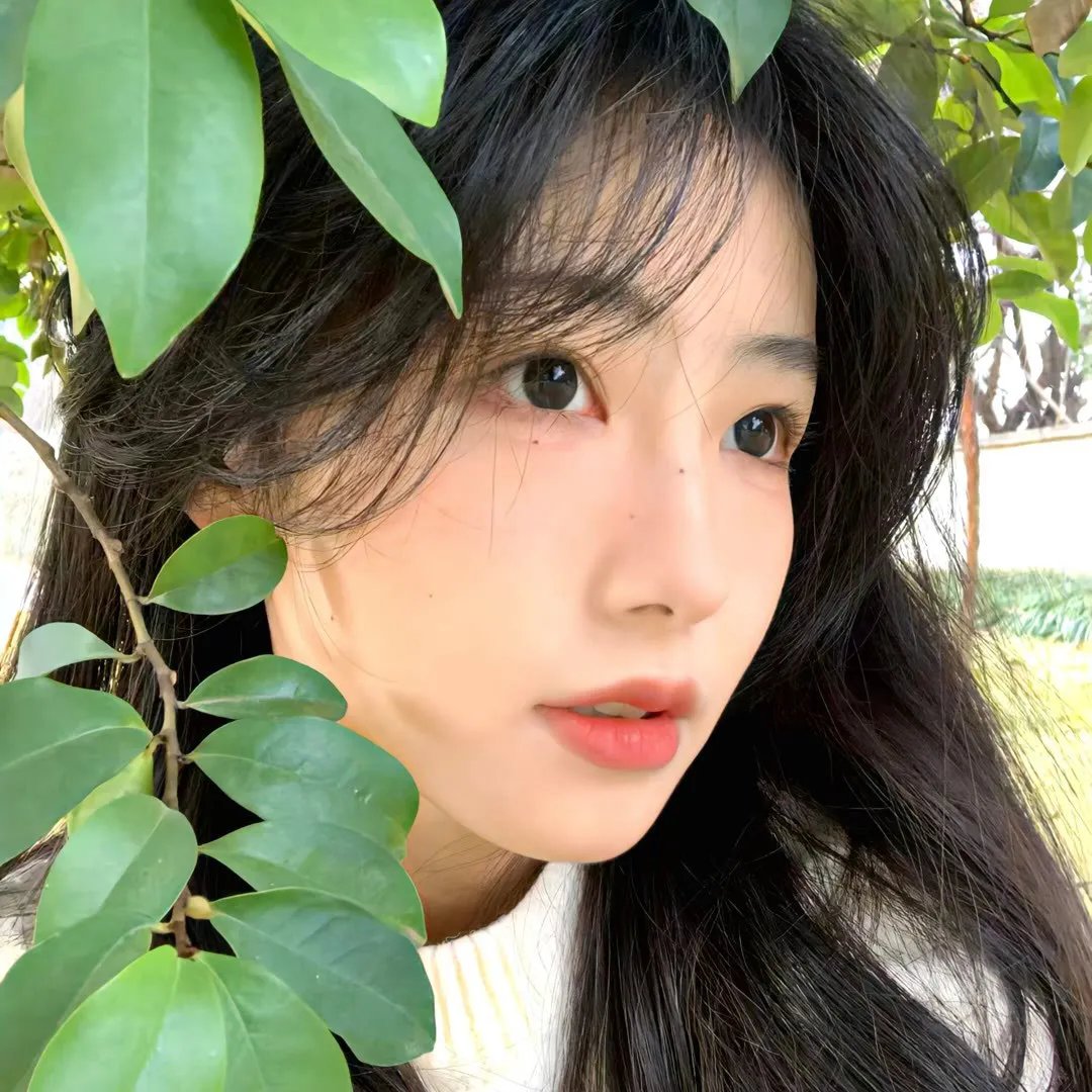 失眠的北风吹来爱情
